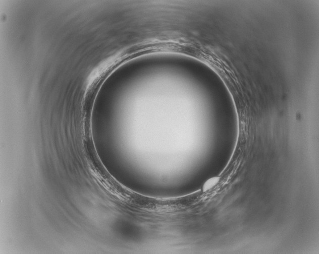 X0000060240149200510281128