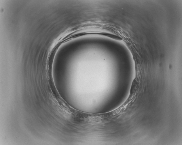 X0000060240150200510281128