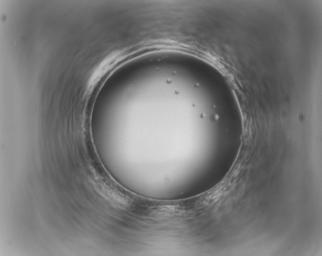 X0000060240151200510281128