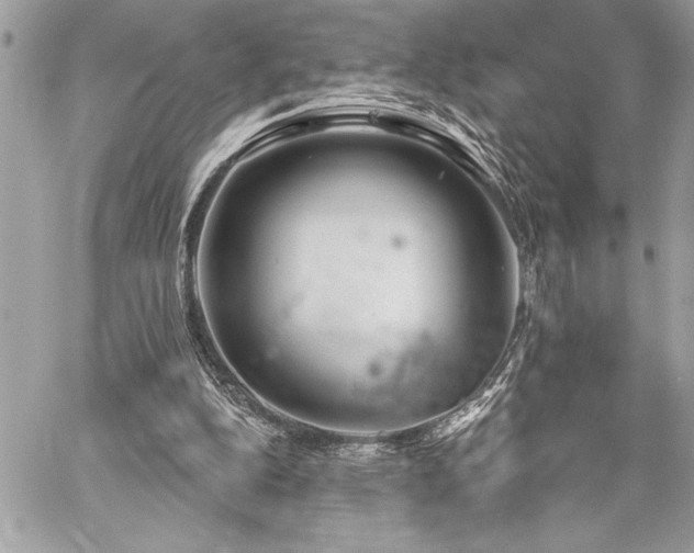 X0000060240152200510281128