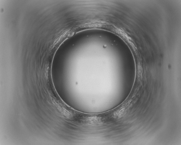 X0000060240153200510281128