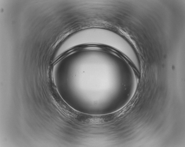 X0000060240154200510281128