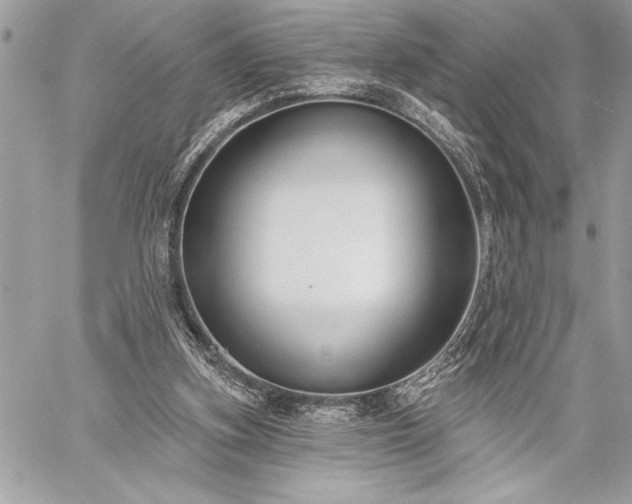 X0000060240155200510281128