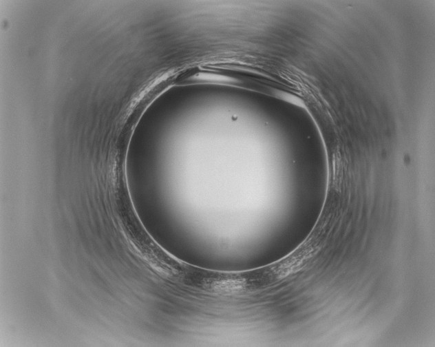 X0000060240156200510281128