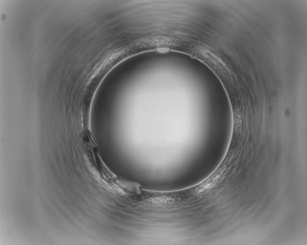 X0000060240158200510281128