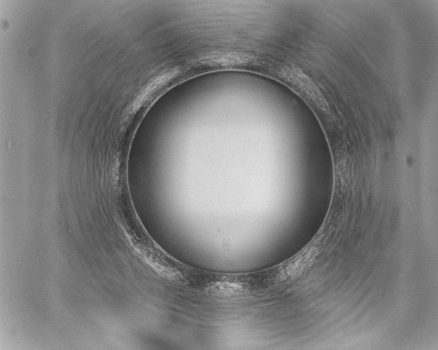 X0000060240159200510281128