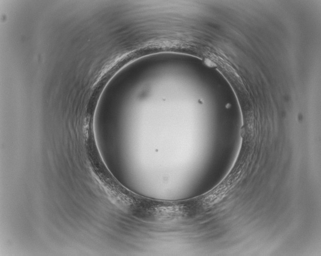 X0000060240160200510281128