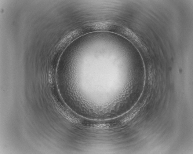 X0000060240161200510281128