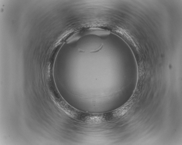 X0000060240163200510281128