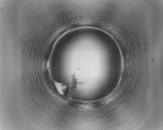 X0000060240164200510281128