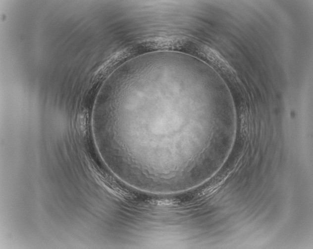 X0000060240165200510281128