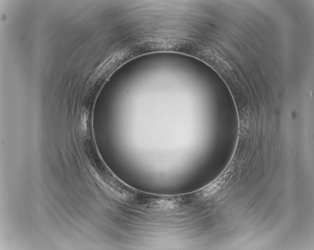 X0000060240166200510281128