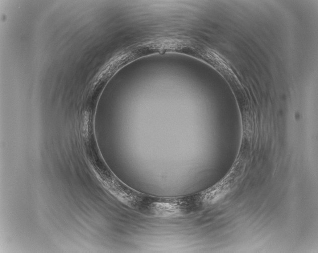 X0000060240167200510281128