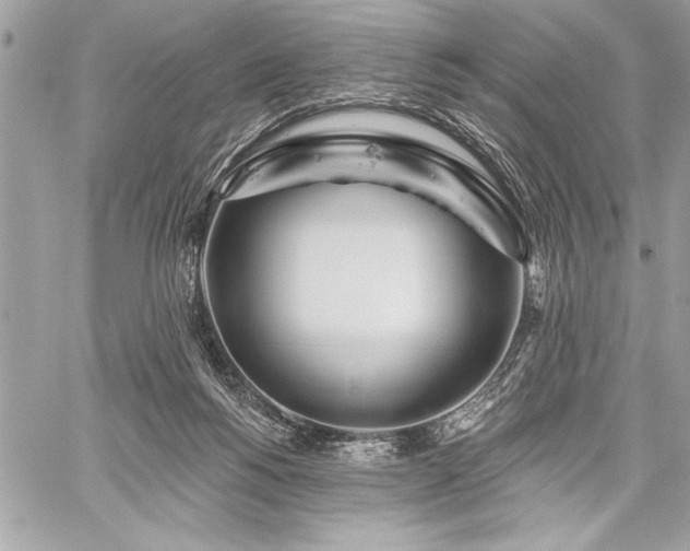 X0000060240168200510281128