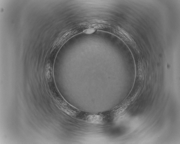 X0000060240169200510281128