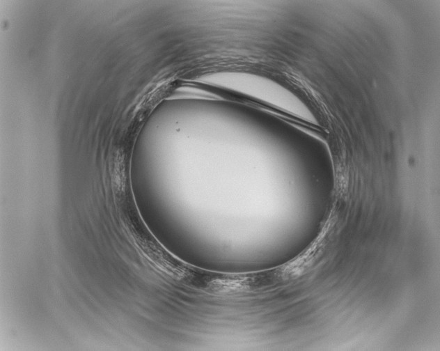 X0000060240170200510281128