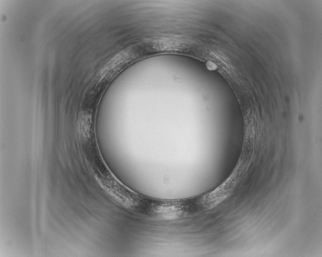 X0000060240171200510281128