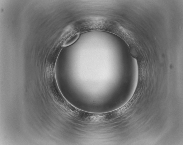 X0000060240172200510281128