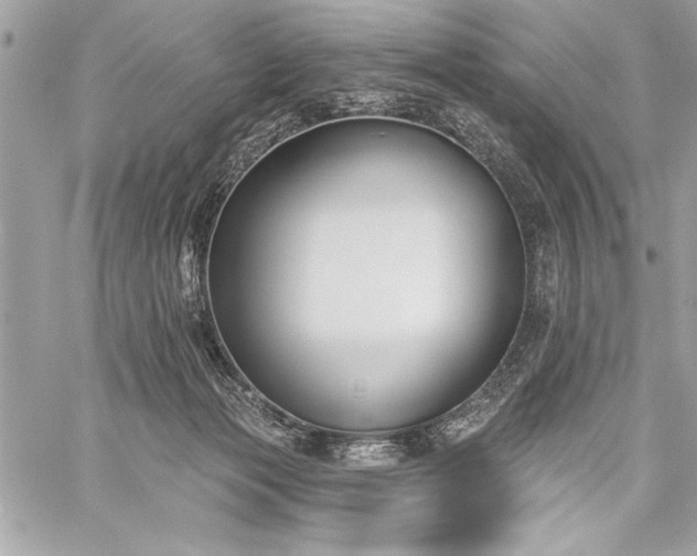 X0000060240173200510281128