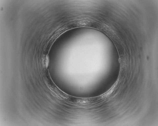 X0000060240174200510281128