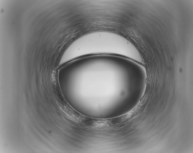 X0000060240175200510281128