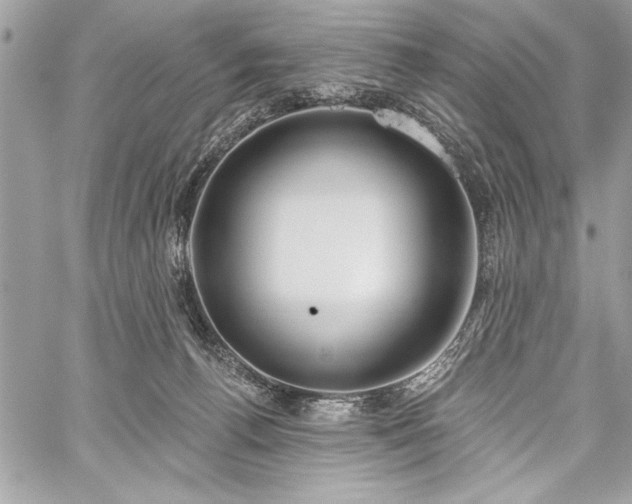 X0000060240176200510281128