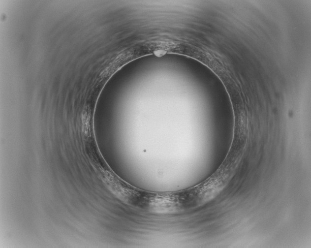 X0000060240177200510281128