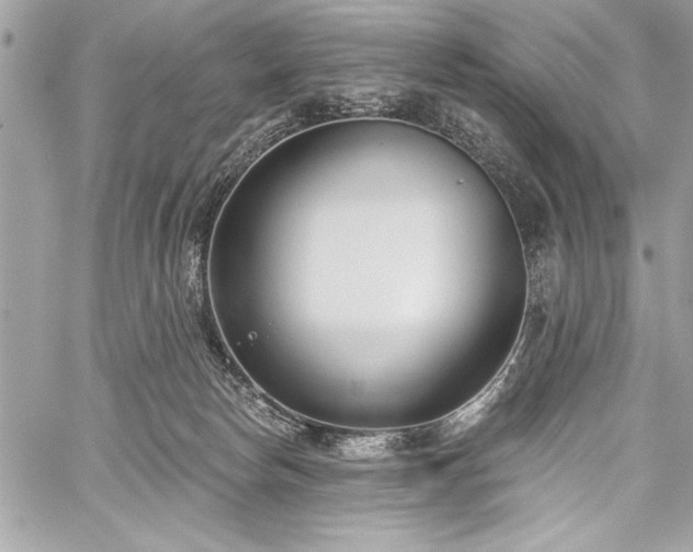 X0000060240178200510281128