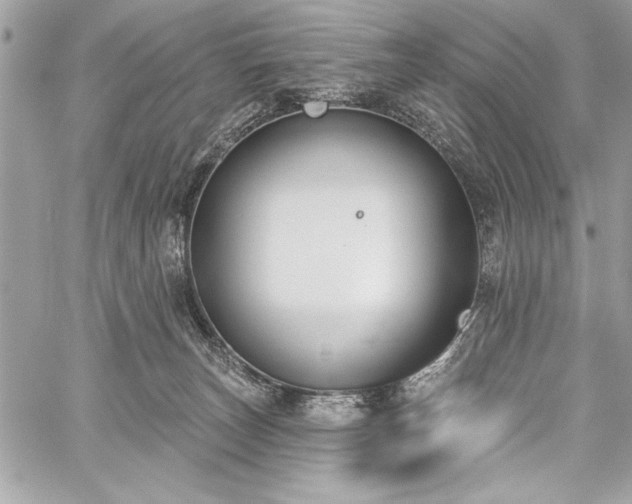 X0000060240179200510281128