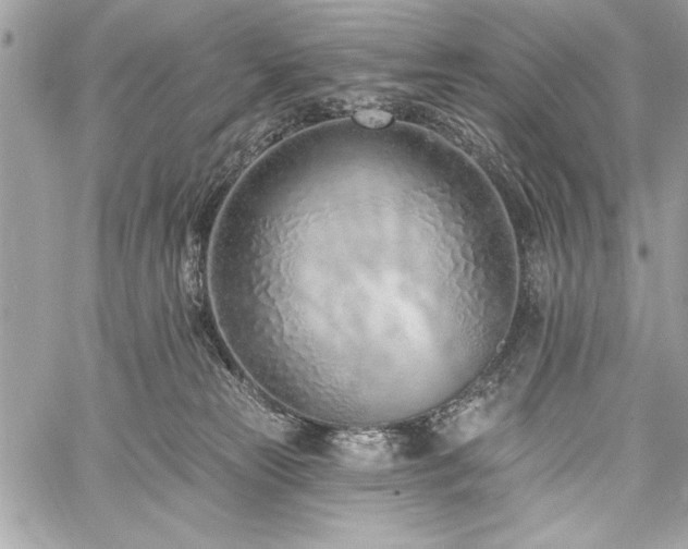 X0000060240181200510281128