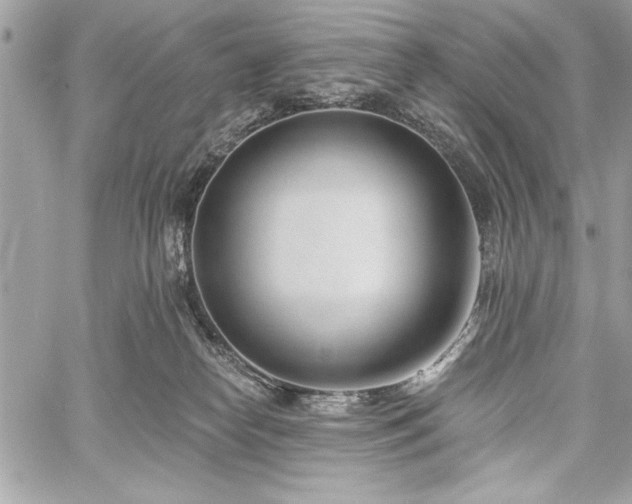 X0000060240182200510281128