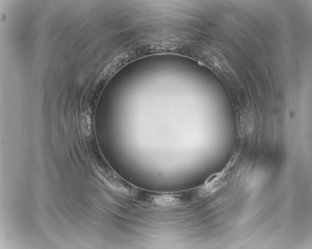 X0000060240183200510281128