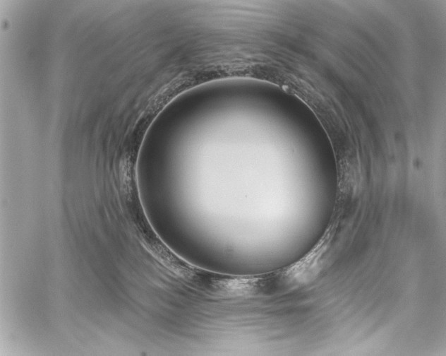 X0000060240184200510281128