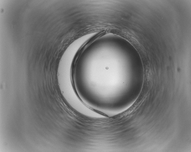 X0000060240185200510281128