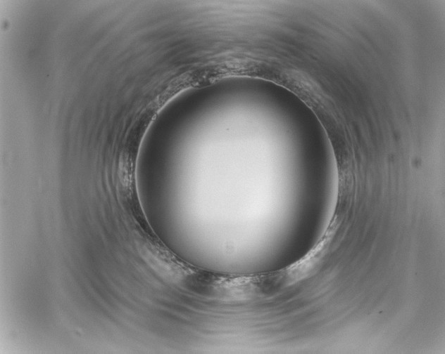 X0000060240186200510281128