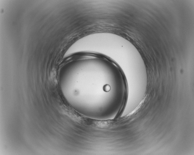 X0000060240187200510281128