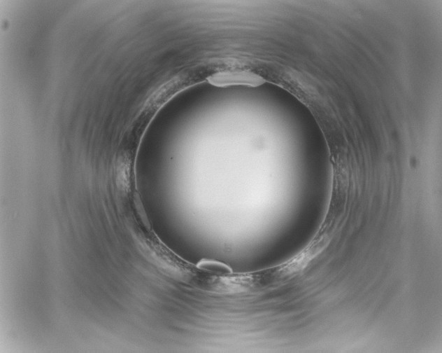 X0000060240188200510281128