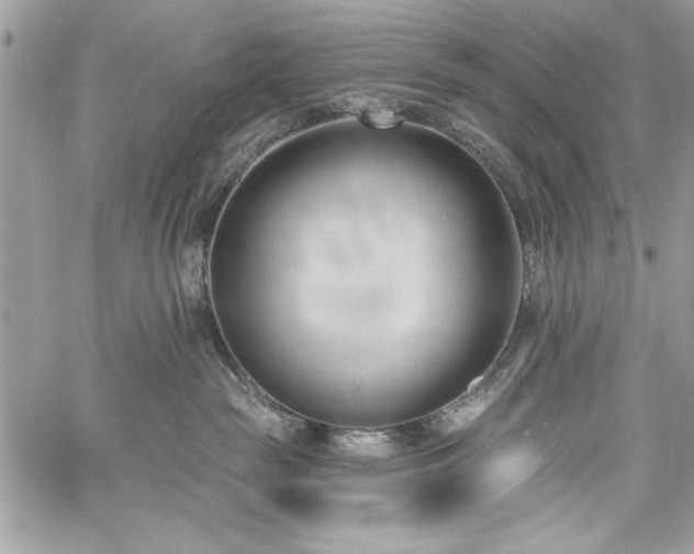 X0000060240189200510281128