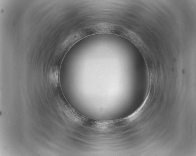 X0000060240190200510281128