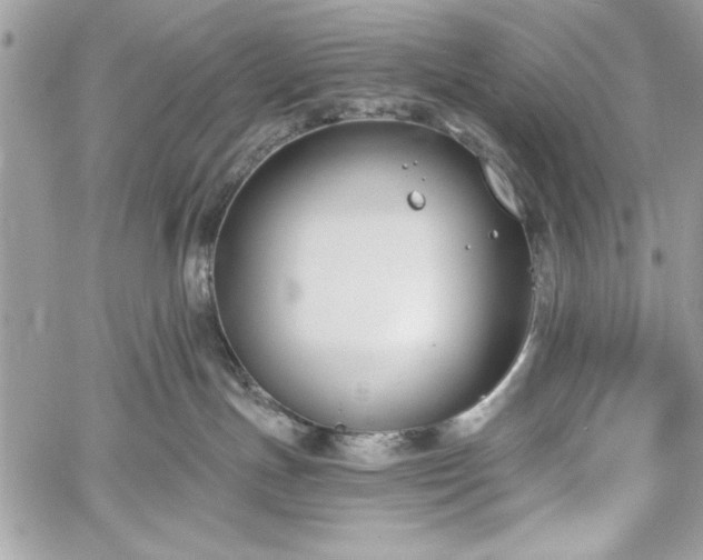 X0000060240191200510281128