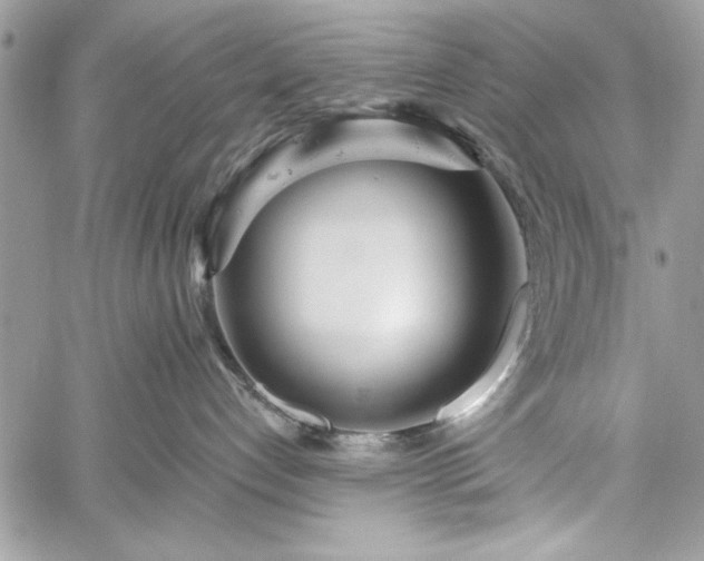 X0000060240192200510281128