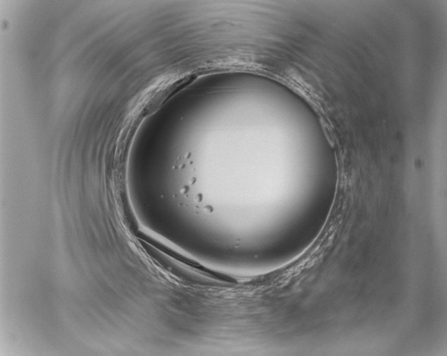 X0000060240193200510281128