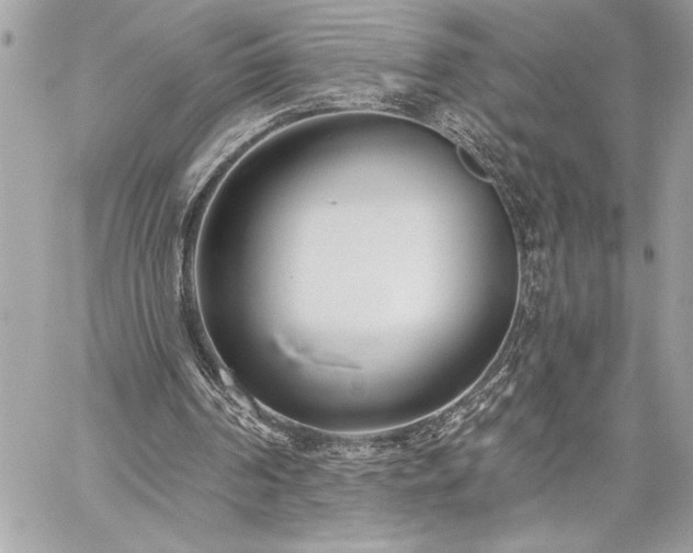 X0000060240194200510281128