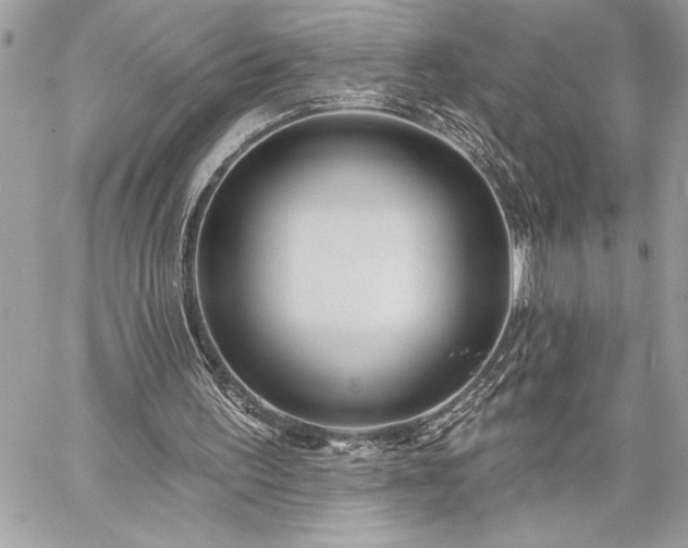 X0000060240195200510281127