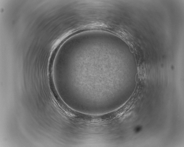 X0000060240196200510281127