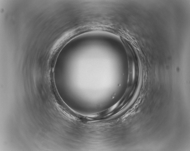 X0000060240197200510281127