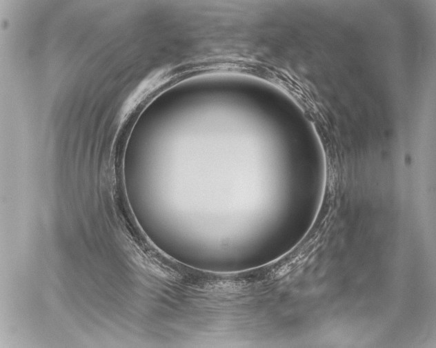 X0000060240198200510281127