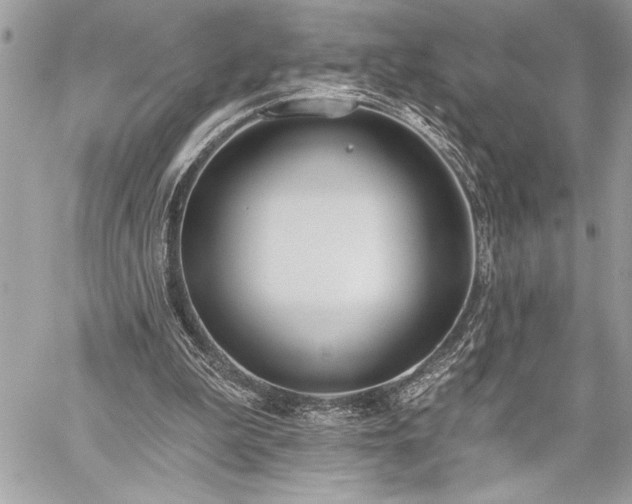 X0000060240199200510281127