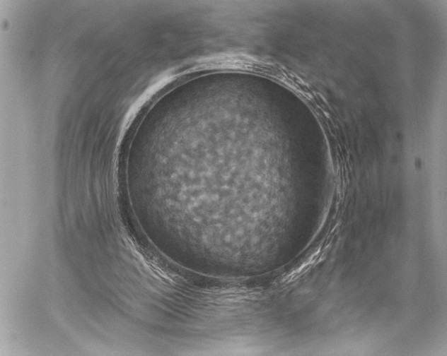 X0000060240200200510281127