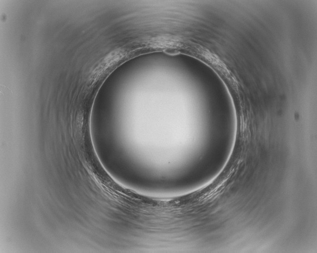 X0000060240201200510281127